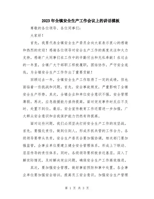 2023年全镇安全生产工作会议上的讲话模板