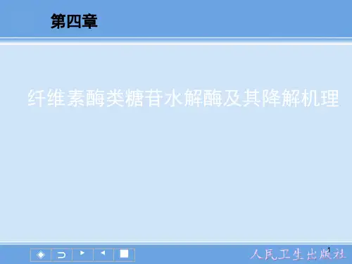 纤维素酶类糖苷水解酶及其降解机理ppt课件