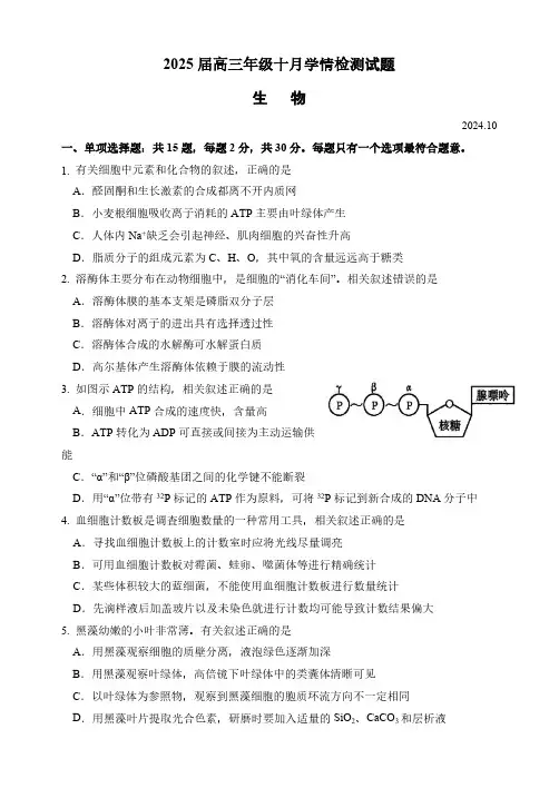 江苏省淮安市清江浦区淮阴中学2024-2025学年高三上学期10月学情检测生物学试卷(含答案)