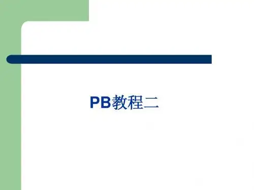PowerBuilder教程二