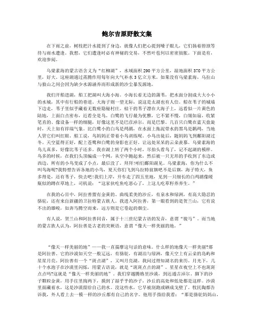 鲍尔吉原野散文集