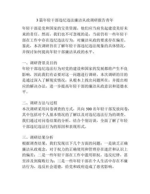 3篇年轻干部违纪违法廉洁从政调研报告青年