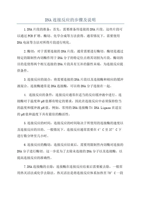 DNA连接反应的步骤及说明