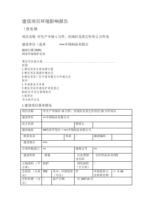 羊绒制品公司环评报告表