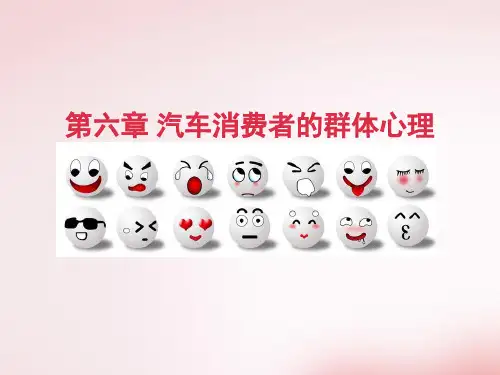 第六章汽车消费者的群体心理案例
