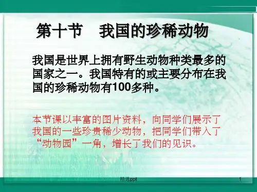 《我国的珍稀动物》PPT课件
