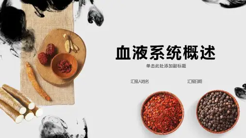 血液系统概述