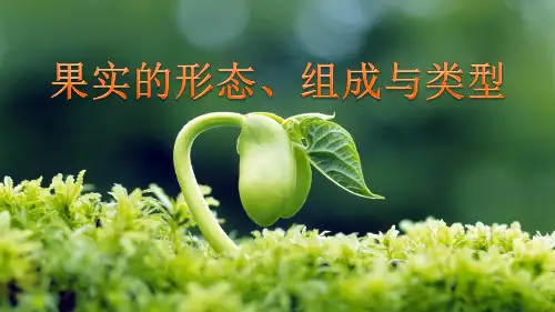 药用植物学基础知识—植物的器官—果实(天然药物学课件)