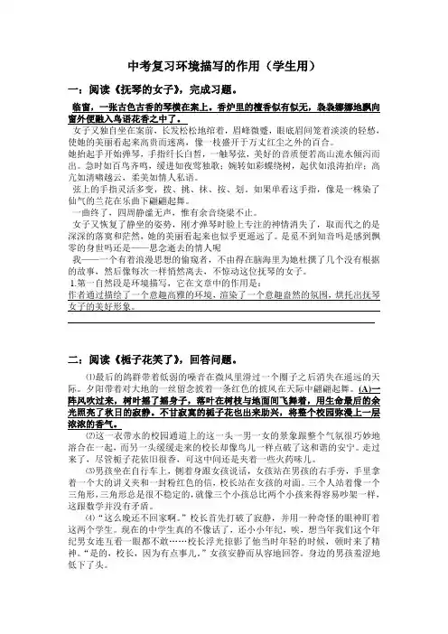 优质中考复习环境描写的作用师用(与生用配套)
