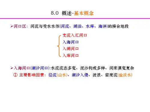 潮汐河口的演变