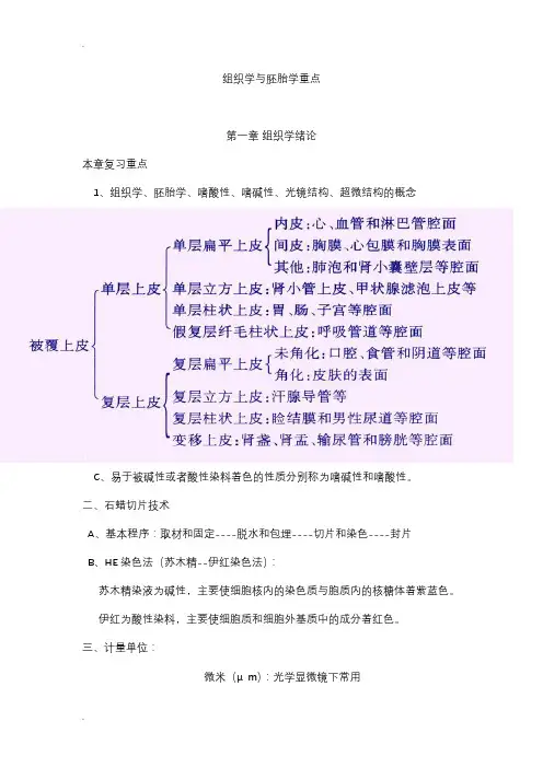组织学与胚胎学重点