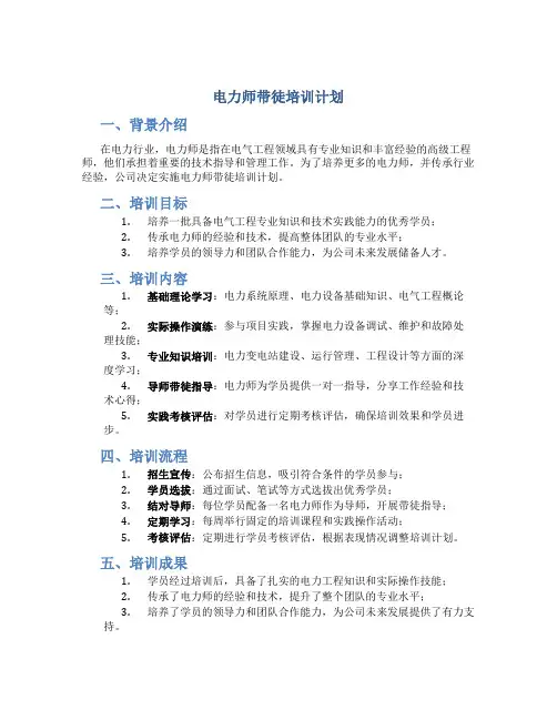 电力师带徒培训计划