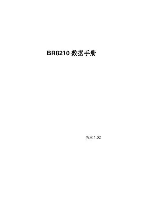 BR8210 芯片数据手册 v1.02
