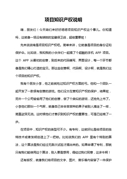 项目知识产权说明