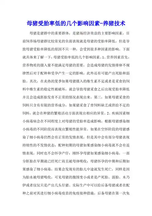 母猪受胎率低的几个影响因素 - 养猪技术