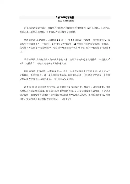 如何诱导母猪发情