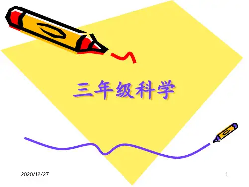 三年级科学上册《认识水》 ppt课件