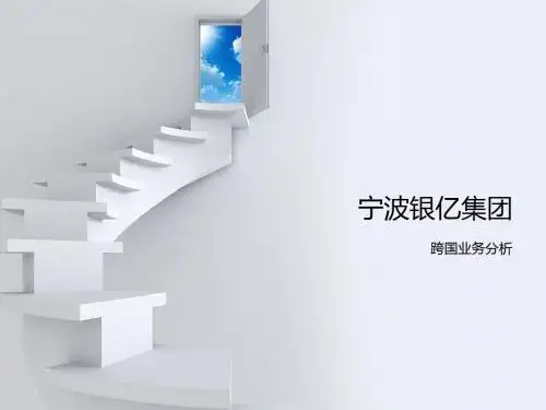 宁波银亿集团