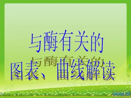 与酶有关的图表、曲线解读