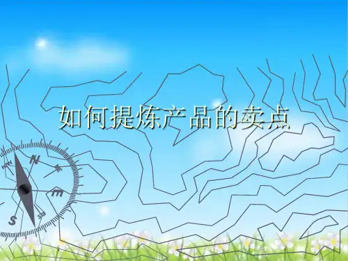 如何提炼产品的卖点(PPT31页)