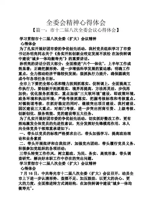 全委会精神心得体会
