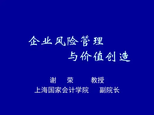 企业风险管理与价值创造--谢荣