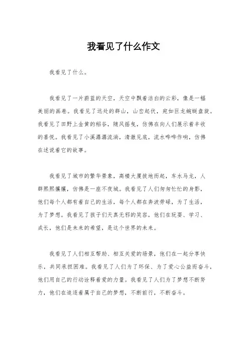 我看见了什么作文