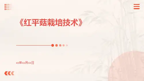 红平菇栽培技术