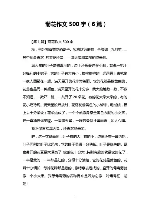 菊花作文500字(6篇)