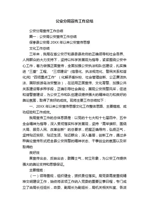 公安分局宣传工作总结