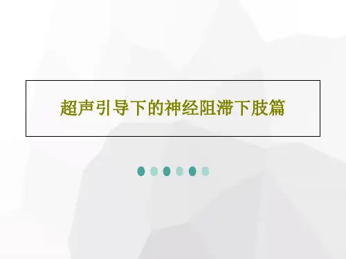 超声引导下的神经阻滞下肢篇24页PPT
