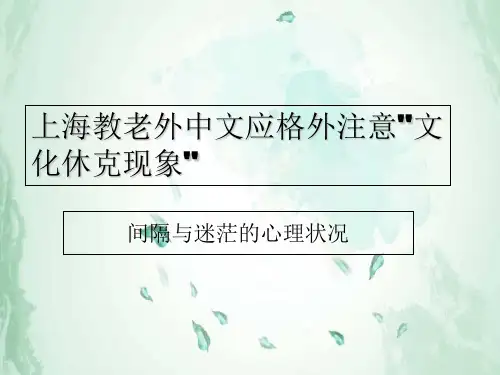 上海教老外中文应注意文化休克现象汇总
