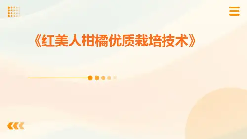 红美人柑橘优质栽培技术