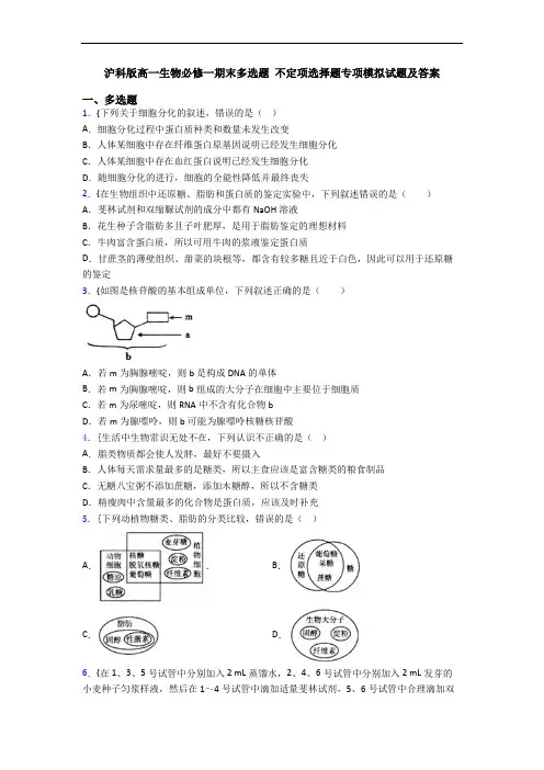 沪科版高一生物必修一期末多选题 不定项选择题专项模拟试题及答案