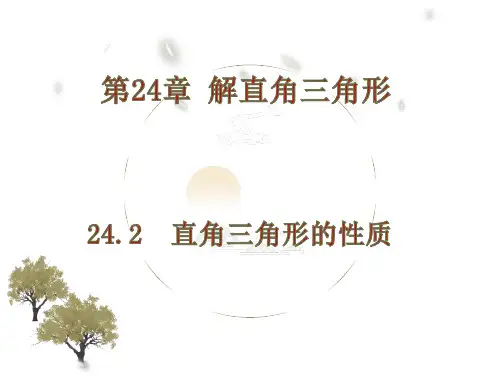 直角三角形的性质+课件+2024-2025学年华东师大版九年级数学上册