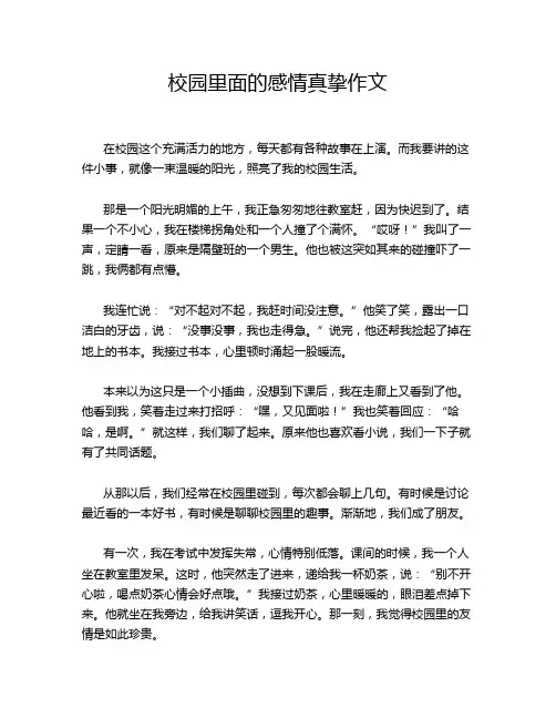 校园里面的感情真挚作文