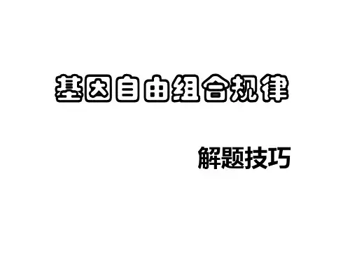 基因自由组合规律解题技巧解有关遗传题用到的基本原理ppt