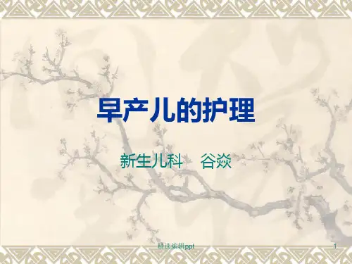 早产儿的护理ppt课件