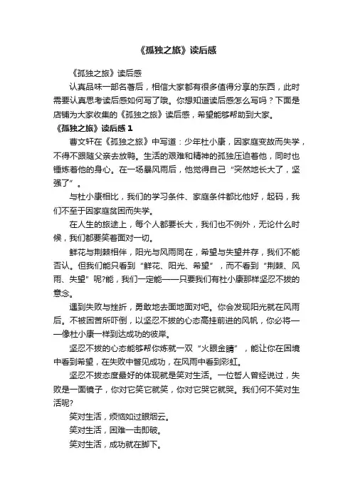 《孤独之旅》读后感