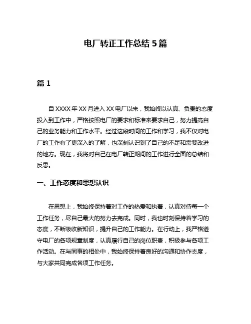 电厂转正工作总结5篇