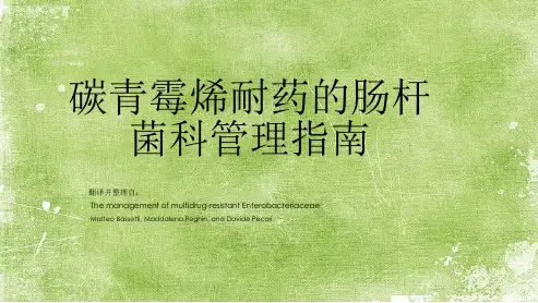 碳青霉烯耐药的肠杆菌科管理指南ppt-(2)