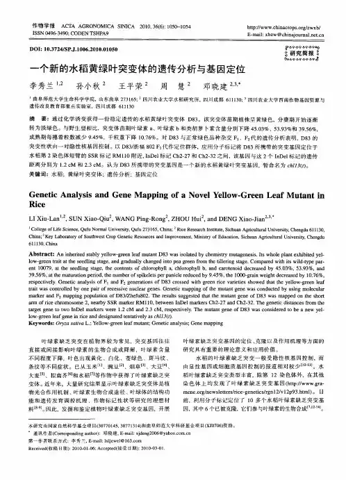 一个新的水稻黄绿叶突变体的遗传分析与基因定位