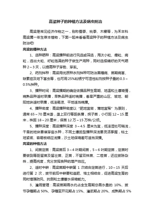 高粱种子的种植方法及病虫防治