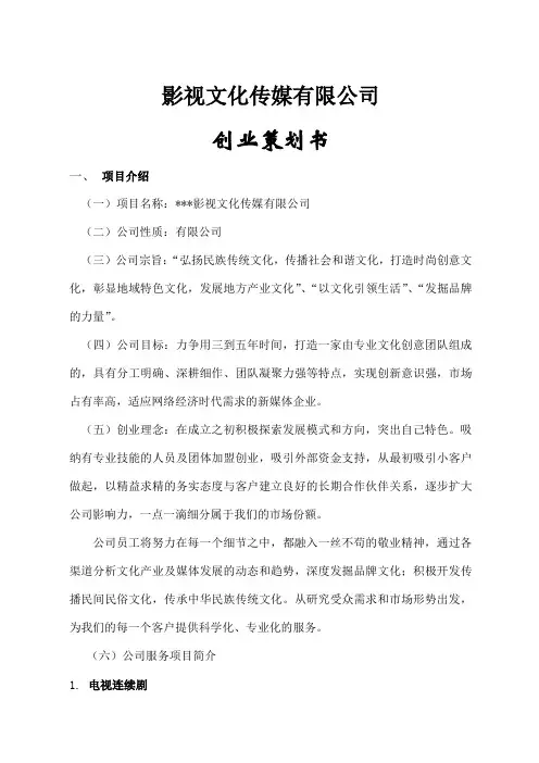 影视文化传媒公司创业策划书