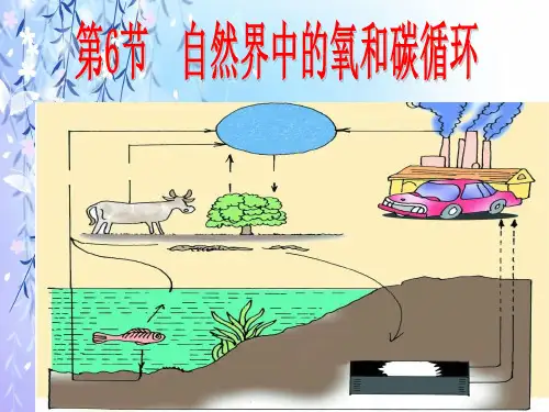 自然界中的氧和碳循环PPT教学课件