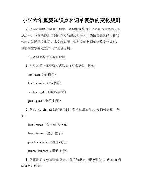 小学六年重要知识点名词单复数的变化规则