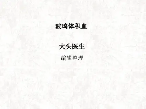 玻璃体积血PPT课件
