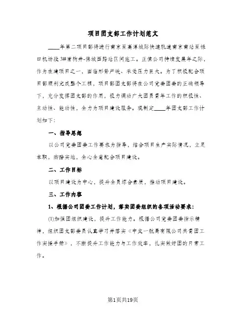 项目团支部工作计划范文(八篇)