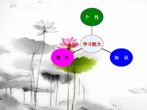 学习能力的培养PPT