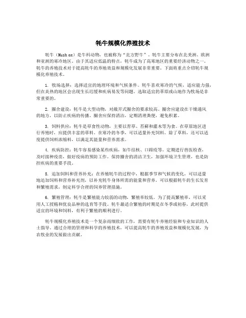 牦牛规模化养殖技术